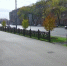 Видео - ТВН
