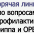 Внимание! С 21 сентября по 02 октября проводится горячая линия по вопросам профилактики гриппа и ОРВИ. - Бабушкинский муниципальный округ