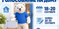 Выборы-2026: как проголосовать на дому, если нет возможности прийти на участок - Единая Россия