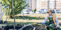 В микрорайоне Елецкий высадили 50 лип - Город Липецк