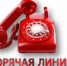 В Ершовском районе пройдет прямая линия по вопросам противодействия коррупции - Министерство труда и соцзащиты