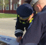 В Белгороде 12 водителей привлекли к ответственности за нарушения правил остановки и стоянки - Belnovosti.Ru