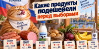 Какие продукты подешевели перед выборами, показал отчет Воронежстата - Bloknot-Voronezh.Ru