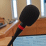 Микрофон Кирилл Роткин, ИА IrkutskMedia - IrkutskMedia.Ru