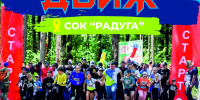 Нажмите для предварительного просмотра изображения - Дирекция спортивных сооружений
