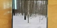 JPG Файл - ОМВД Республики Мордовия