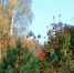 Ежедневный прогноз погоды - Газета Макарьевский вестник