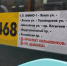 Янино, это не сон: первые 5 автобусов большого класса запустили до метро - Online47.Ru