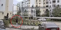 «Чё ты сказал?»: полицейские ищут мужчину, устроившего стрельбу в саратовском дворе - ИА Версия-Саратов