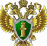 Прокуратура обеспечила завершение ремонта кровли школы - Наше время