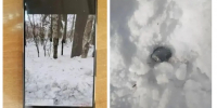 Молодым нижегородцам в Мордовии дали 18,5 лет строгого режима на двоих - Info-Rm.Com