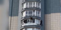 «Акробаты» из ФСБ влетели на балкон наркобазы в Петербурге. Нашли 8 кг и 50 кустов - 47 новостей