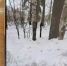 18,5 лет на двоих получили наркокурьеры из Нижегородской области за попытку сбыта в Мордовии - Вестник Мордовии