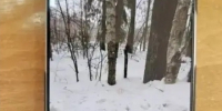 18,5 лет на двоих получили наркокурьеры из Нижегородской области за попытку сбыта в Мордовии - Вестник Мордовии