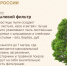 Лес чудес - Заповедник Нургуш