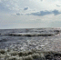 Вода в Азовском море стремительно меняется. Побит 150-летний рекорд по осолонению: учёные рассказали, чем это грозит - LiveKuban.Ru