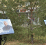 Памятник Жириновскому в Омске снабдили цитатами политика - СуперОмск