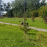 Мобильные камеры начали ловить водителей на дорогах Нижегородской области за ремни и телефоны - ProGorodNN.Ru