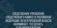 СУ СК России по Белгородской области напоминает, что делать, если пропал ребенок - Следственный комитет