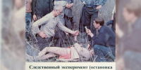 «Ростовский треугольник» и подростки-убийцы – московский психиатр Фауст о феномене серийной преступности - Bloknot-Rostov.Ru