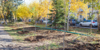 В Волгоградской области в 233 пробах почвы выявили отклонения от нормативов - Блокнот Волжского