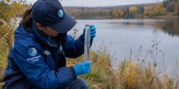 Минэкологии назвало причины загрязнения озера Ягодное и массового мора рыбы - ProGorodNN.Ru