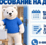 Выборы-2026: как проголосовать на дому, если нет возможности прийти на участок - Ulpravda.Ru