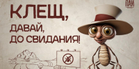Как вести себя при встрече с клещами - InformPskov.Ru