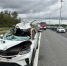 На КАД каршеринг сбил лося: водитель и пассажир в больнице - tvspb.ru - ТК Санкт-Петербург