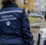 В квартире заводчицы в Дзержинске нашли 13 истощённых далматинцев и мумии собак - ProGorodNN.Ru