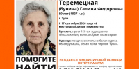 В Туле ищут пропавшую 89-летнюю женщину с потерей памяти - ИА Тульская служба новостей