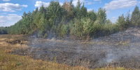 В Клетнянском районе огнеборцы остановили лесной пожар - ИА Наш Брянск.ru
