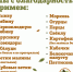 Ленинградский зоопарк принимает желуди, овощи и ягоды для животных - Online47.Ru