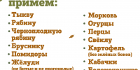 Ленинградский зоопарк принимает желуди, овощи и ягоды для животных - Online47.Ru