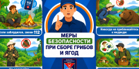 МЕРЫ БЕЗОПАСНОСТИ ПРИ СБОРЕ ГРИБОВ И ЯГОД - Пожарно-спасательный центр