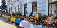 Планета улыбается цветами - Московский городской совет ветеранов