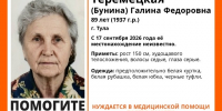 Пропавшую 89-летнюю бабушку разыскивают в Туле - Молодой коммунар