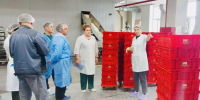 На предприятиях Якутии планируют внедрить робототехнические комплексы - Якутское-Cаха ИА