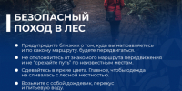 Памятка: Правила безопасности в лесу. - Северо-Енисейский муниципальный округ