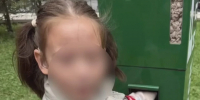 Для 7-летней девочки пришлось вызывать спасателей из-за автомата с кормом для уток - Комсомольская правда