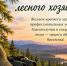 С Днём работника лесного хозяйства! - Рослесозащита