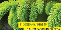 Уважаемые работники леса и ветераны лесной отрасли! Поздравляем вас с профессиональным праздником – Днем работников леса и лесоперерабатывающей промышленности! - Абанский район