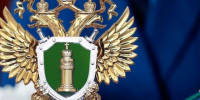 Личный прием граждан по нарушениям в сфере информационно-телекоммуникационной сети - «Интернет» и ИТТ преступлений.. - Нижнеингашский район