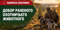 Памятка охотнику: добор раненого охотничьего животного - Госохотдепартамент Тюменской области