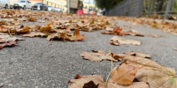 До +26 градусов. Саратовцев ждут теплые сухие выходные, но ночи будут холодные - ИА Версия-Саратов