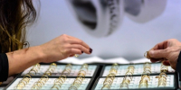 Продавец ювелирного магазина в Уфе украла драгоценности на 750 тыс. рублей - ProUral.Info