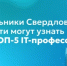Школьники Свердловской области могут узнать про ТОП-5 IT-профессий - Министерство образования
