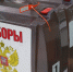 Депутаты Думы Уссурийского городского округа приняли участие в голосовании - Дума Уссурийского городского округа