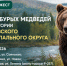 Дайджест выходов бурых медведей за 17.09.2026 по информации ЕДДС. - Ермаковский район