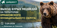 Дайджест выходов бурых медведей за 17.09.2026 по информации ЕДДС. - Ермаковский район